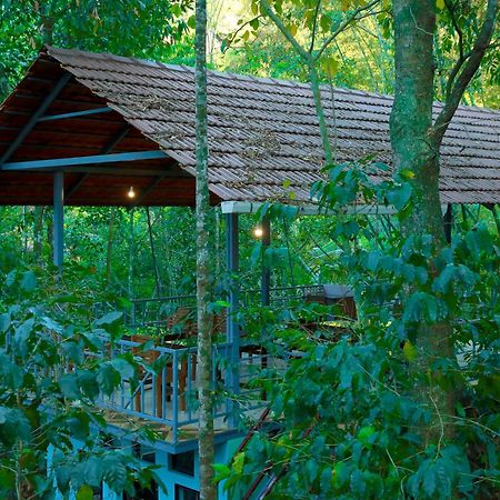 Snow Hills Resorts Thekkady Exterior foto