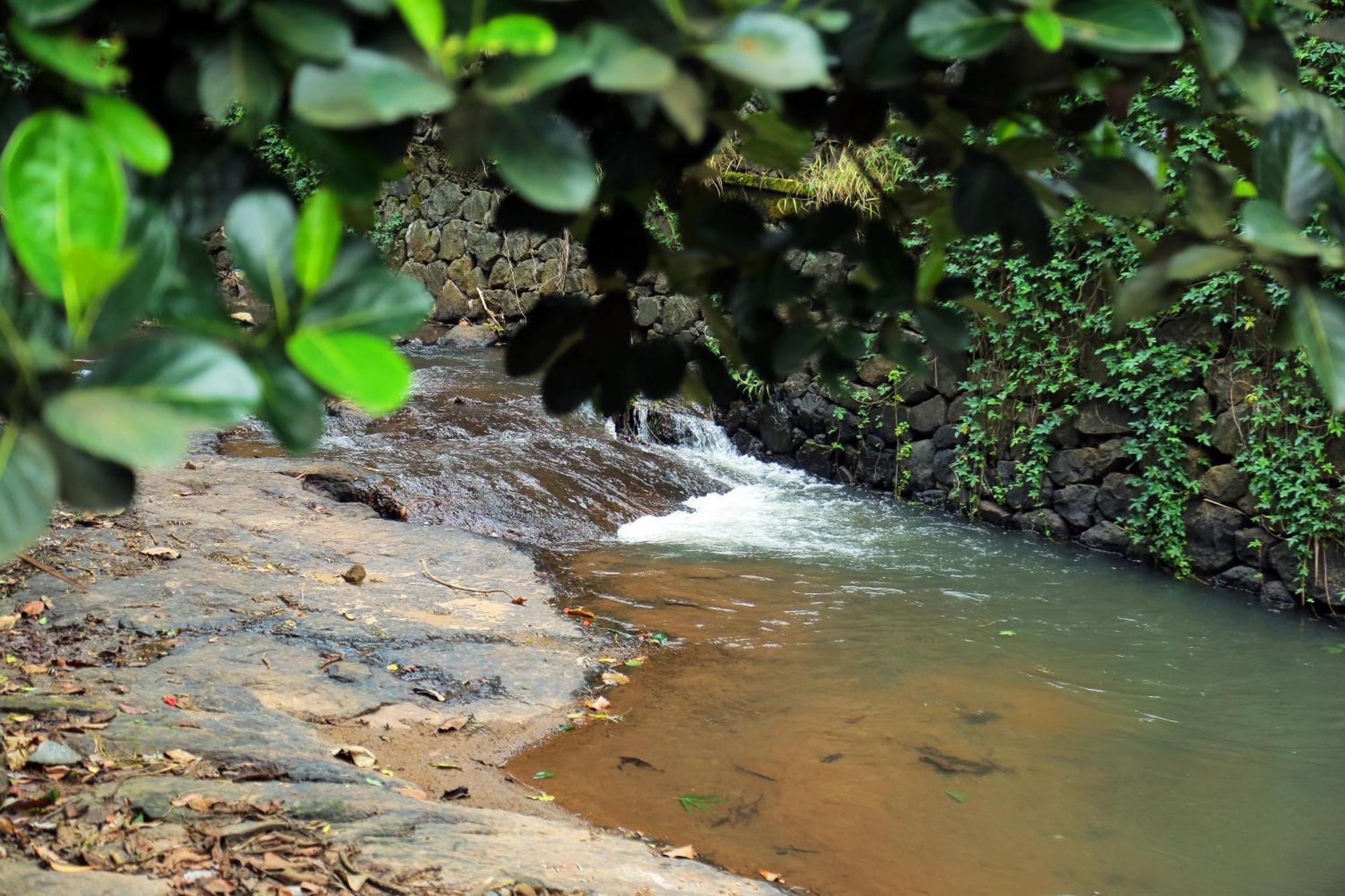 Snow Hills Resorts Thekkady Exterior foto